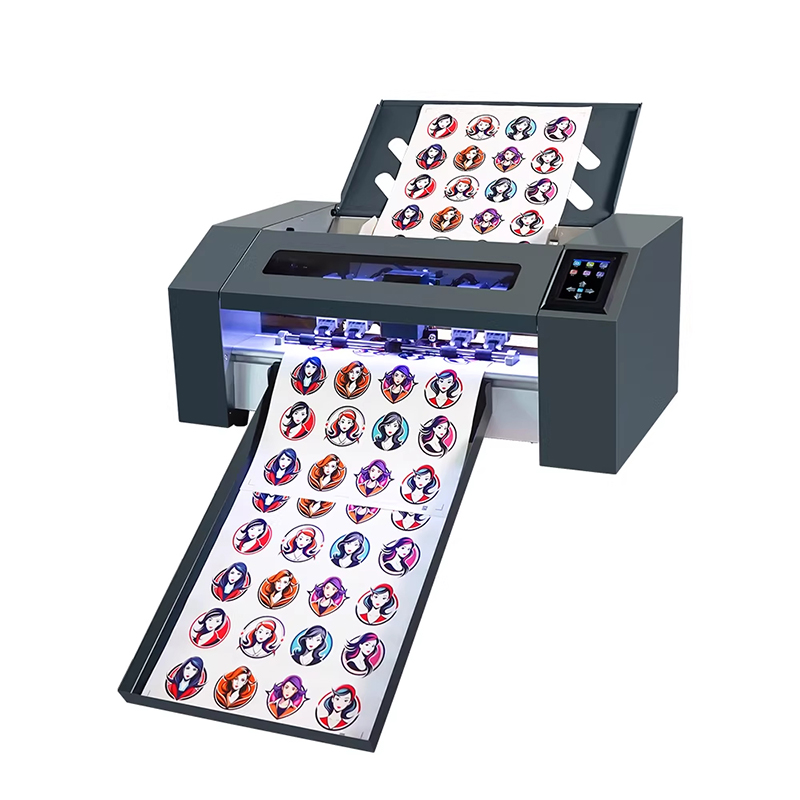 Nueva Máquina Automática de Co - Die Cutting Machine reseña y precio