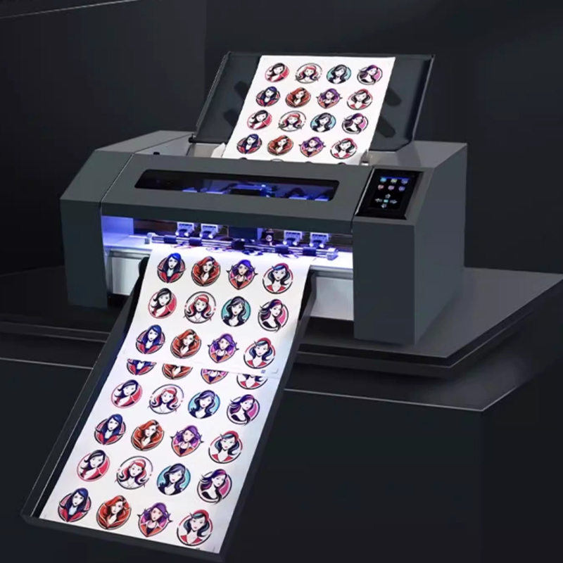 Nueva Máquina Automática de Co - Die Cutting Machine reseña y precio